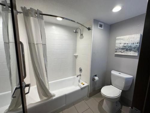 a bathroom with a tub and a toilet and a shower at Comfort Inn Dallas North Love Field Airport in Dallas