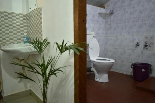 ein Badezimmer mit einem WC, einem Waschbecken und einer Pflanze in der Unterkunft IKIAM- in Nature's Embrace in Mānantoddy