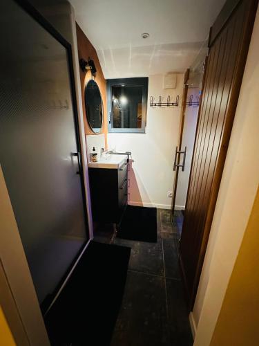 une petite salle de bain avec un lavabo et un miroir dans l'établissement La Ptite Maison proche Rouen, à La Vaupalière