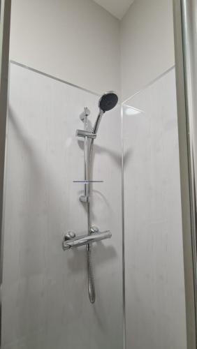 a shower with a shower head and a whisk at Belfast Waterworks Apartments in Belfast
