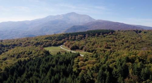 Ptičja perspektiva objekta Villa Cherry