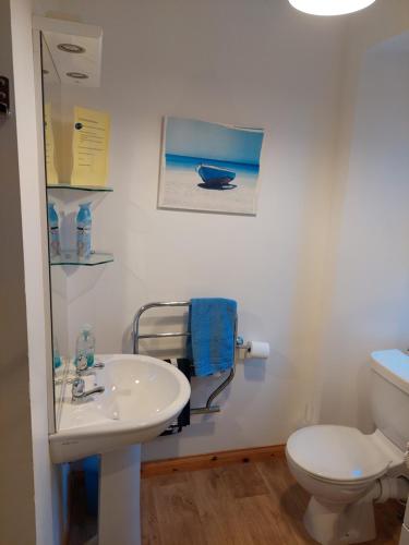 a bathroom with a sink and a toilet at 8 Firth Square in Kirkwall