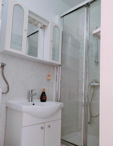 a bathroom with a sink and a shower at Marko apartment in Rovinj