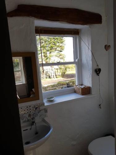 a bathroom with a sink and a window at Traditional Irish Thatched Cottage in Florencecourt