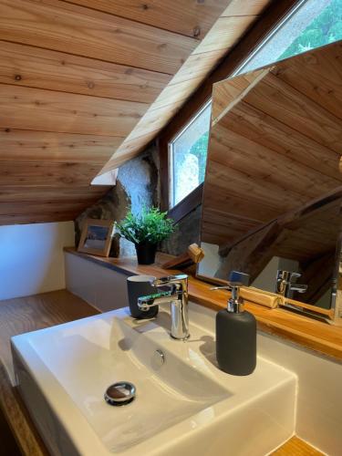 un baño con lavabo y espejo en Magnifique gite 14 personnes en bord de lac, en Devesset