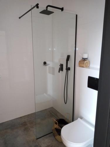 a bathroom with a glass shower with a toilet at Apartament w centrum z panoramą miasta in Bielsko-Biała