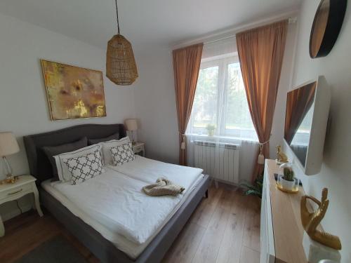 - une chambre avec un lit et une télévision dans l'établissement Apartman guru 1, à Szeged