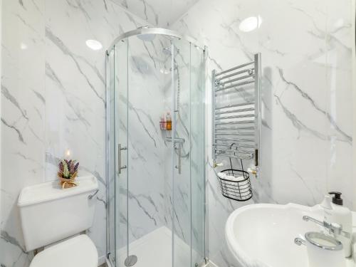 a bathroom with a shower and a toilet and a sink at 25 Appledore Gardens in Chester-le-Street