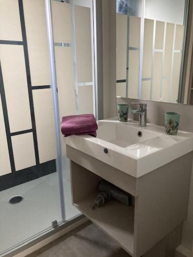 une salle de bain blanche avec un lavabo et une douche dans l'établissement Cottage Le Colibri au calme piscine chauffée sauna hammam parc multisports, à Saubrigues