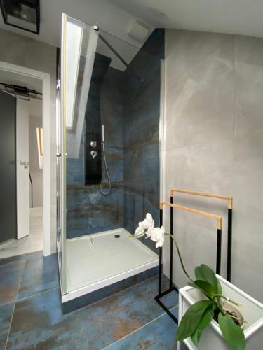 uma casa de banho com um chuveiro e um espelho. em Apartament Masuria SPA Renata Rosłoń em Świętajno