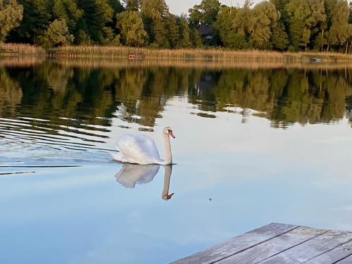 Φυσικό τοπίο κοντά σε αυτό το διαμέρισμα