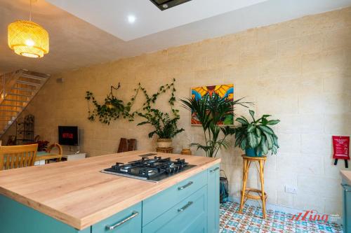 a kitchen with a stove and a counter top at A remarkable Eco Home in Gozo in Nadur