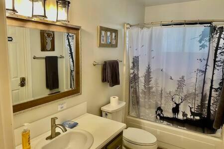 a bathroom with a sink and a toilet and a shower at Deer Haven Hot Tub Foosball Pool Table in Ahwahnee