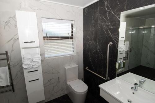 a bathroom with a toilet and a sink and a mirror at Middle Park Motel in Blenheim