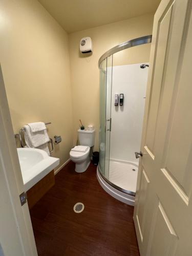 a bathroom with a shower and a toilet and a sink at Snowhaven in Ohakune