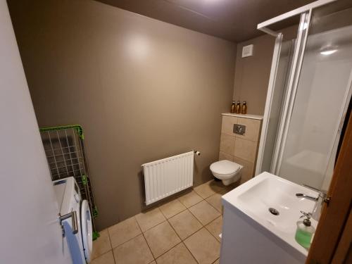 a bathroom with a white sink and a toilet at K15 Apartment in Vestmannaeyjar