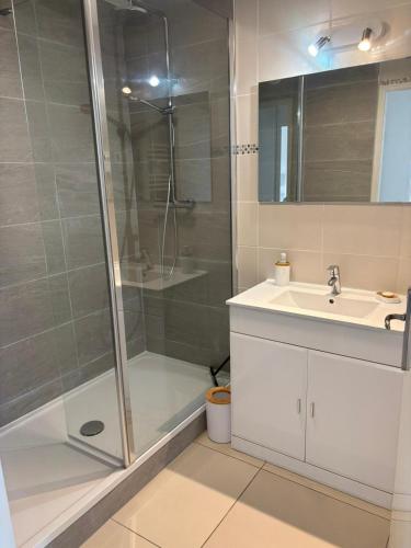 uma casa de banho com um chuveiro e um lavatório. em t2 spacieux très bien place em Gagnac-sur-Garonne