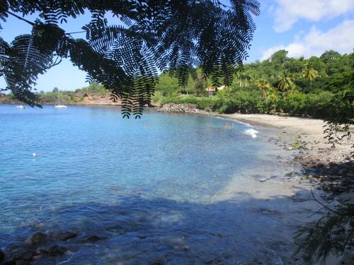 a beach with people swimming in the water at Le Colibri, belle vue mer, accés direct à la plage, SPA privatif in Bouillante