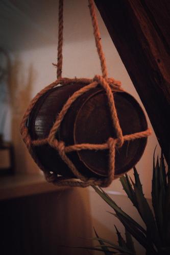 a hanging basket with a rope and a plant at L'Insolite, Suite safari d'exception à Saumur in Saumur