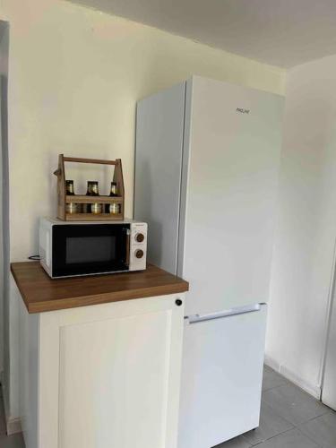 - un four micro-ondes à côté d'un réfrigérateur dans l'établissement Soleil d’ocre - Bastide à Roussillon, à Roussillon