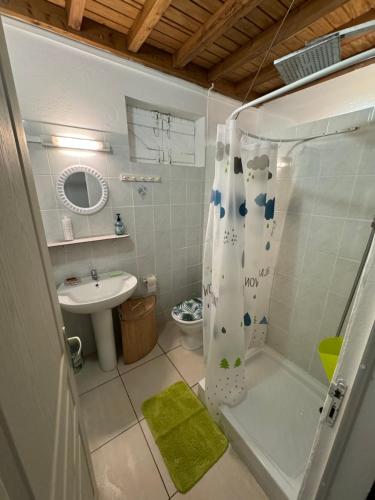 uma pequena casa de banho com um chuveiro e um lavatório. em Maison bord de mer à 100 m em Saint-François