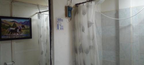 een badkamer met een douchegordijn en een schilderij van een paard bij Aracari Inn Mindo in Mindo
