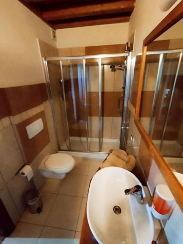 a bathroom with a shower and a sink and a toilet at Private Room in the Food Valley of Parma in Montechiarugolo