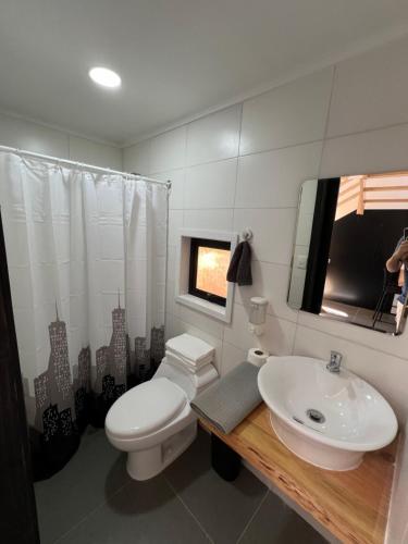 a bathroom with a white toilet and a sink at Tiny house en bosque nativo camino a Termas de Chillan in Recinto