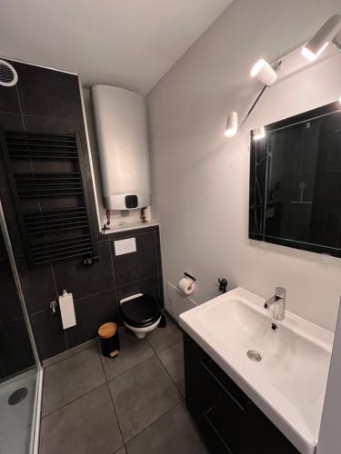 La salle de bains est pourvue d'un lavabo, d'une douche et de toilettes. dans l'établissement Studio MANI, à Ostende