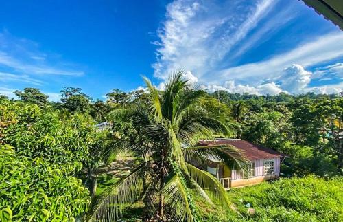 a palm tree in front of a house in the jungle at Good Vibes Apartments in Talamanca