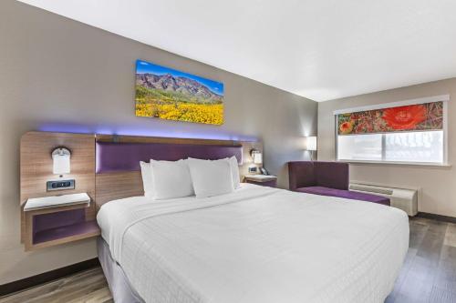 Postel nebo postele na pokoji v ubytování Best Western Sunland Park Inn