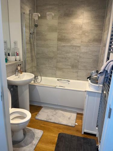 a bathroom with a shower and a toilet and a sink at Iron rail in Coulsdon
