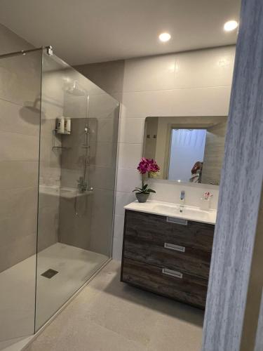 a bathroom with a shower and a sink and a mirror at Lola in Gran Tarajal