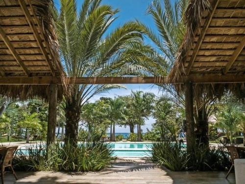 een resort met een zwembad en palmbomen bij Apartamento en Playa Palenque in Puerto Palenque