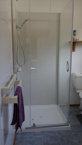 y baño con ducha y puerta de cristal. en Mount Rumney Escapes - 1h Haven Horse House en Mount Rumney