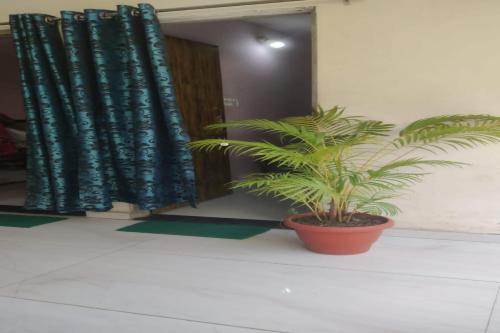 a potted plant sitting in front of a door at SPOT ON Sunrise Inn in Nagpur