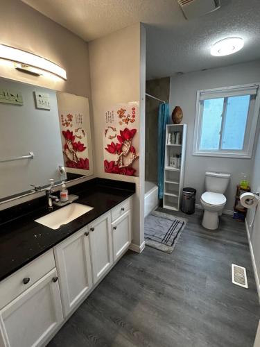 a bathroom with a sink and a toilet at Comfortable room C in Kitchener
