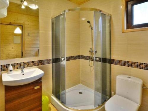 e bagno con doccia, servizi igienici e lavandino. di Storey holiday cottages, Siano ty a Sianozety