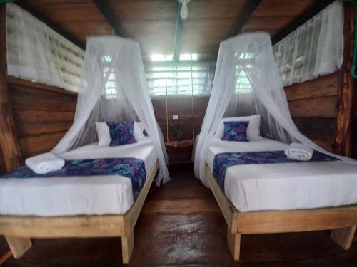 Cabañas Mangle House – Photos 2