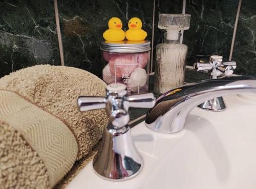 a bathroom sink with two rubber ducks on top of it at Golden Caves - Bed & Breakfast in Takaka