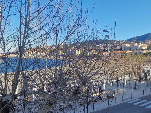 BANYULS, T3 climatisé à 50m de la plage, en centre-ville - FR-1-309-9