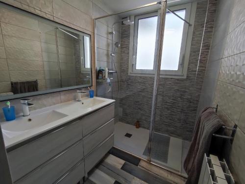 une salle de bain avec un lavabo et une douche dans l'établissement Villa rénovée avec clim et terrasse à 150m de la plage - FR-1-776-3, à Argelès-sur-Mer
