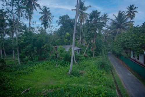 Jardín al aire libre en D2 Villa Unawatuna