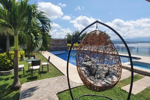 a cat in a swing by a pool at Terraza del Lago in Tequesquitengo