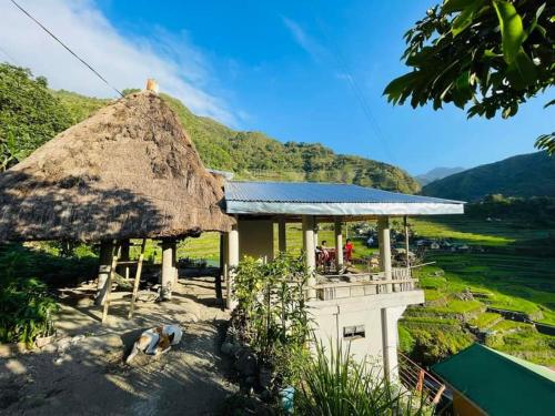 a building with a thatched roof and a view of a valley at BATAD CRISTINA'S Main Village INN & Restaurant in Banaue