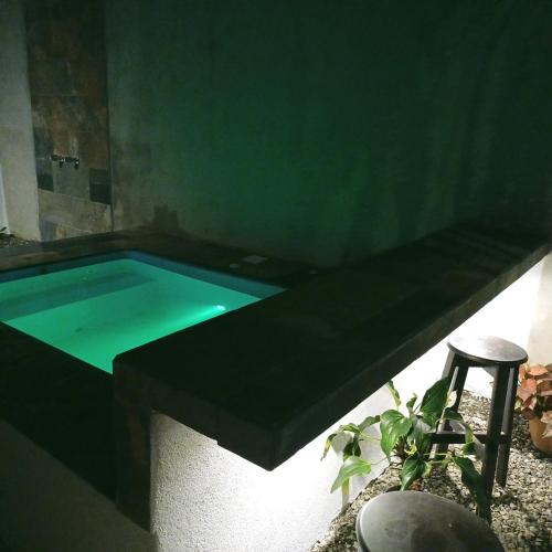 Piscina a Alinas House o a prop