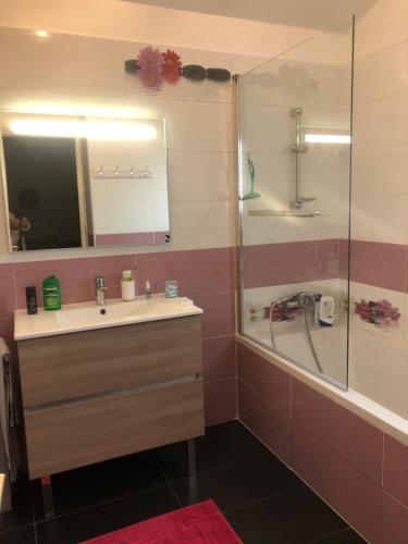 La salle de bains est pourvue d'un lavabo et d'une douche avec un miroir. dans l'établissement Chambre chez l’habitant, à Anglet