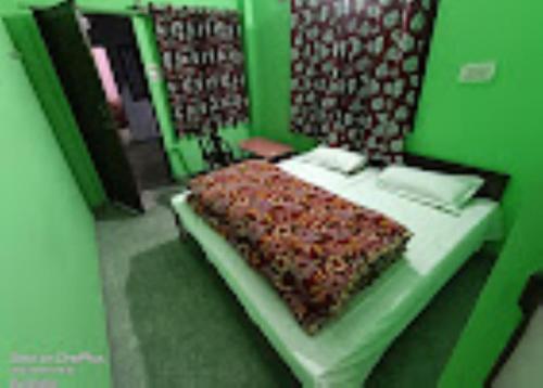 ein grünes Schlafzimmer mit einem Bett in einem grünen Zimmer in der Unterkunft Abhishek Hotel , Sonprayag in Trijugi Nārāyan