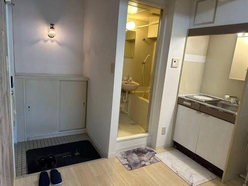 uma pequena casa de banho com um lavatório e um espelho em North River 203 Blue Lotus スタジアムEdon Peace Wingの近く em Kami-nagarekawachō