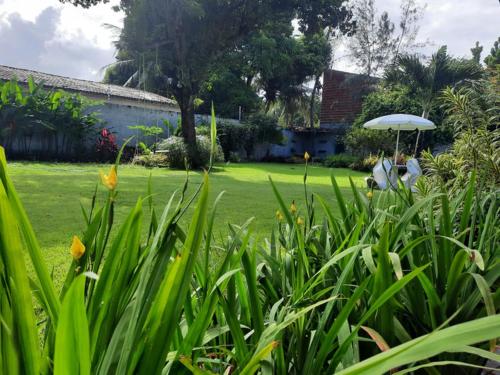a garden with an umbrella and a lawn with a house at EusebioCity in Eusébio